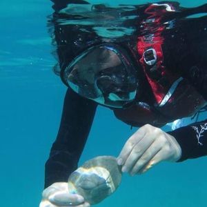 Meet your Posher, Cara